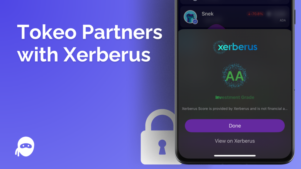 Tokeo Partners with Xerberus