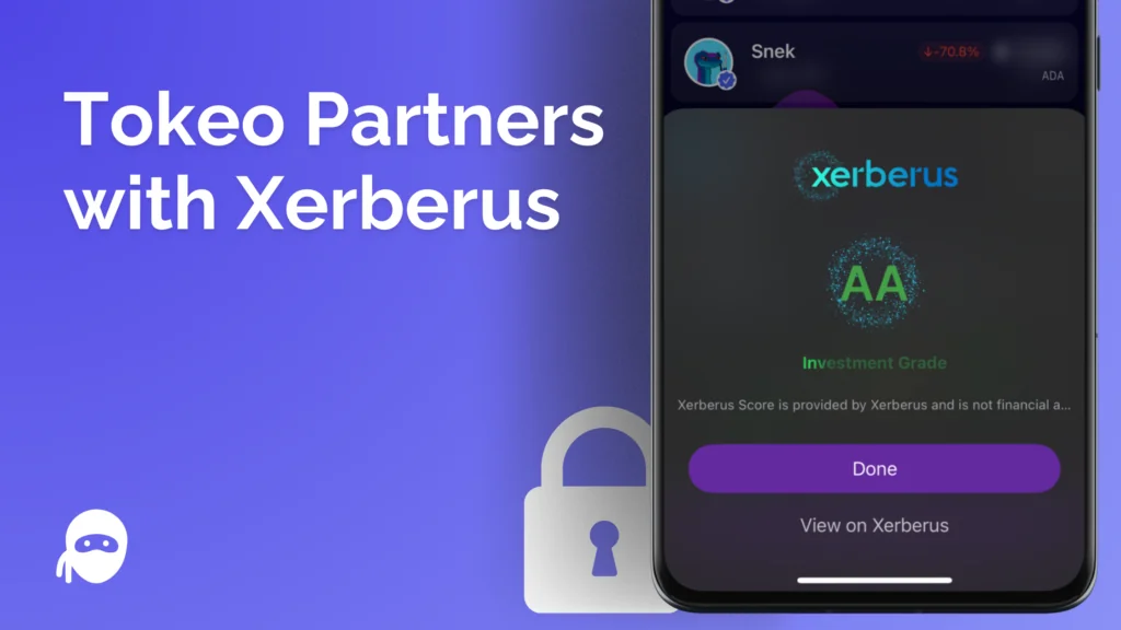Tokeo Partners with Xerberus