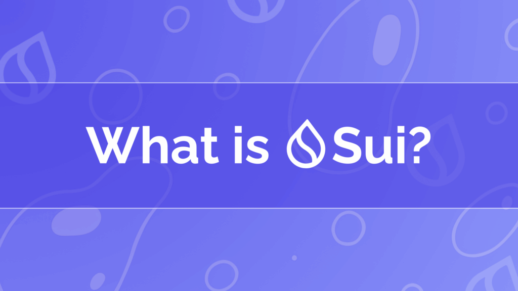 What is Sui? A Deep Dive into the Next-Generation Blockchain
