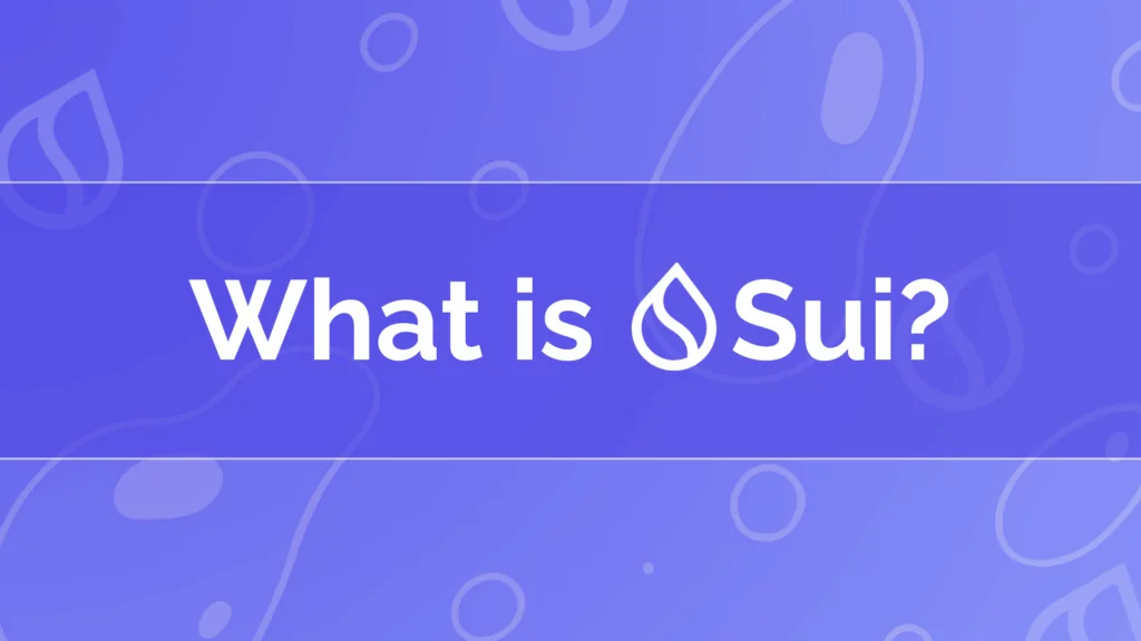 What is Sui? A Deep Dive into the Next-Generation Blockchain