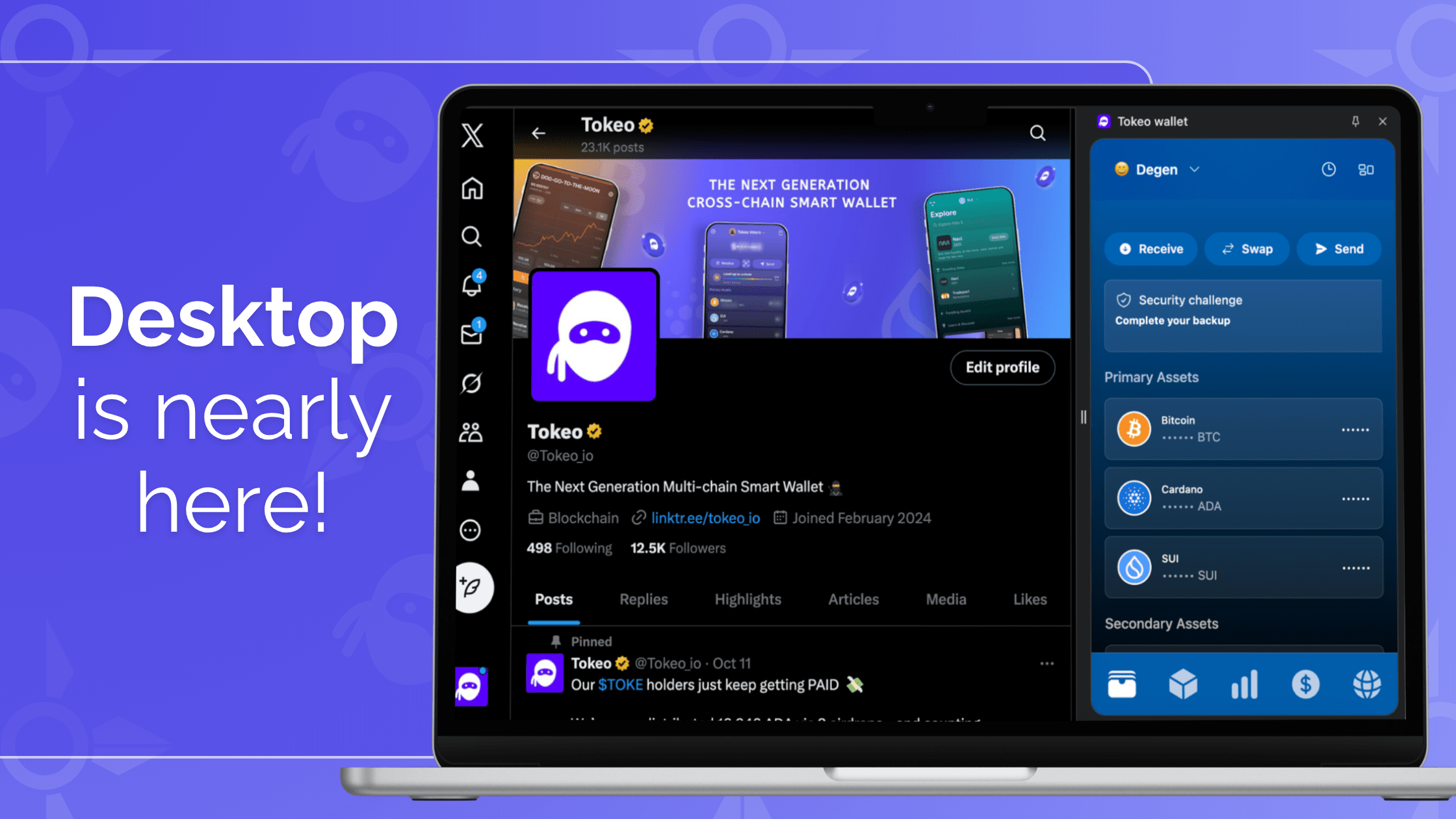 Stealth Access Granted: The Dojo Expands to Your Browser | Tokeo - The  Smart Crypto Wallet